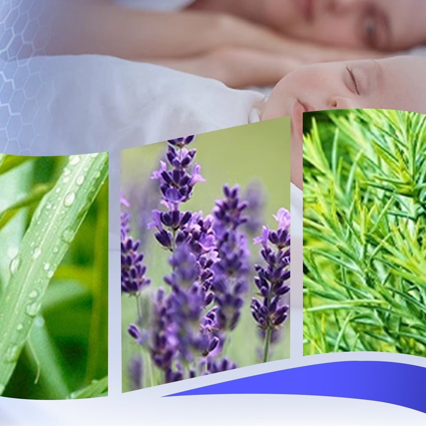 ⏳50 % rabatt under en begränsad tid⏰Myggavvisande kräm med eteriska växtoljor🌼