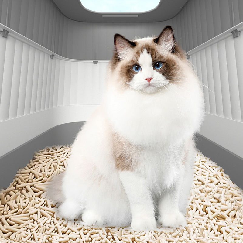 🔥50 % rabatt, 📥 hopfällbar kattlåda med låda – passar katter i alla storlekar🐈