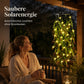 Solcellsdriven ljusslinga med pilblad