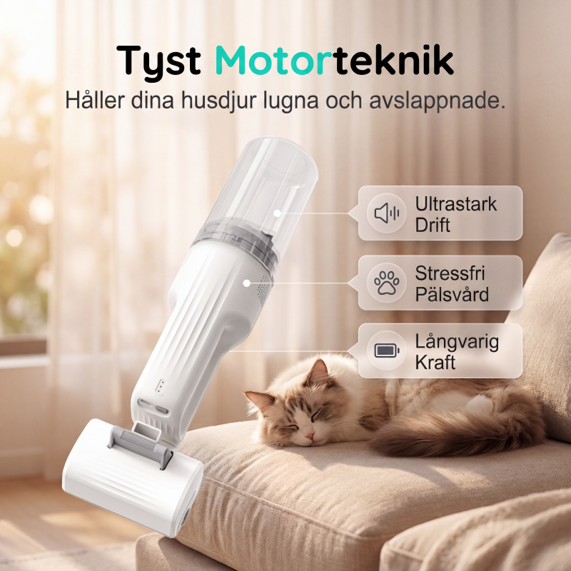 🐱 50 % RABATT NU! 🐶 Ljudsvag dammsugare för djurhår – ultra-tyst, 10000Pa sugkraft & lättvikt – perfekt för möbler, bilsäten och mattor 🧹