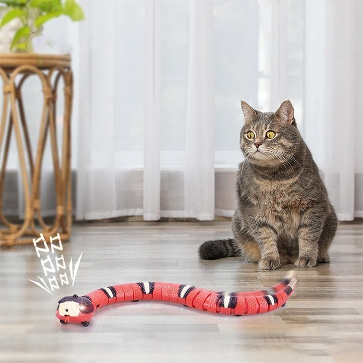 🐱 50% RABATT ✨ Smart elektrisk orm kattleksak – sensorstyrd rörelse, rolig aktivitet för din katt🐍