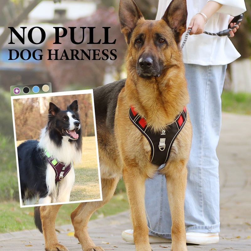 🐕 50% RABATT! 🔦 Dragfri Hundsele med Koppel & LED-halsband – Lindrar Tryck, Mjukt Nylon & Perfekt För Nattliga Promenader Och Träning 🌙